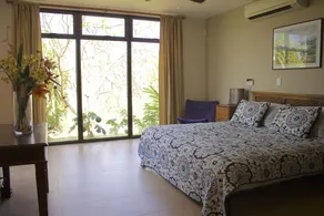 Oceanview villa with infinity pool: VERY private, sunsets, easy walk to beach - Image 4