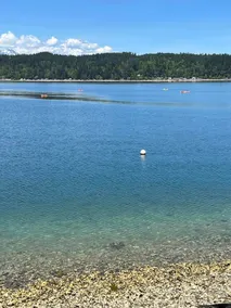 No Better View of the Olympics (near Alderbrook Resort) - Image 5