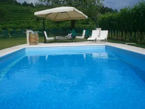 maravillosa zona en medio de los viñedos donde podrá relajarse y degustar vinos - Image 5