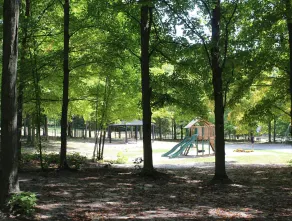 RV Rental #5 Sleeps 6 people - Image 3