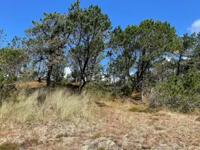 Fascinating Holiday Home in Norre Nebel near Sea - Image 3