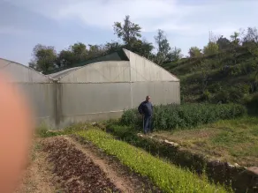 It  is surrounded by lush green mountains, with fruit garden & vegetable fields. - Image 5