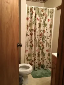 Wonderful Cabin in Greentown, Pa - Image 4