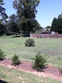 Hickory Tiny House, short and long term rentals - Image 5