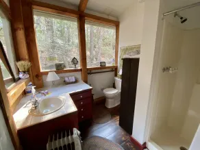 3 Sisters - Historic 1840 Pre-Civil War Log Cabin with sauna, hot tub & firepit! - Image 4