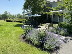 1743 Historic Farmhouse and Horse Stables on 216 Acres near the Delaware River - Image 5