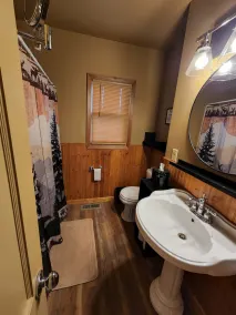 Pinetree Cabin - 4 king beds, stunning views - Image 3