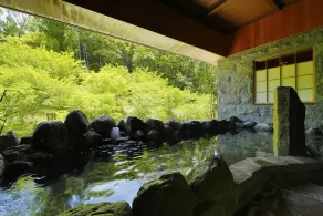 Inishienoyado Ikyu - Image 3