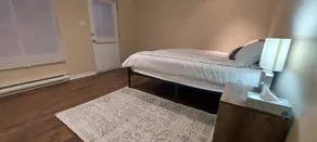 Cottage backing water and with absolute quietness and privacy - Image 4