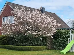 Ferienwohnung Ammerland-Blüte - Image 5