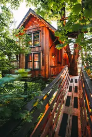Emerald Forest Treehouse - From Treehouse Masters - Image 4