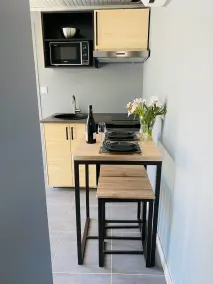 1 Bedroom Apartment in Saint-Bauzille-de-la-Sylve - Image 5