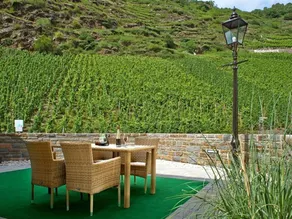 Appartamento Wiltburg - Appartamento Weingut Anton Hammes - Image 4
