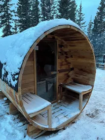 Modern Rustic A-Frame Cabin with Barrel Sauna - Image 3