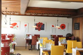 Juniorsuite Arnika (Apart) (copy) - Belvedere-Bio-Hotel garni & Suite Hotel am - Image 4