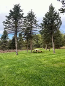 4 Private RV Campsites surrounded by \"Knotty Pines\", Minutes from ORV Trails. - Image 3