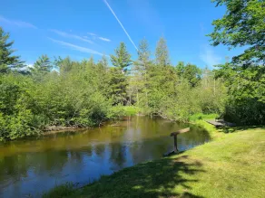 River Ranch Rental - Cabin in the woods--fishing, relaxation, wildlife, river - Image 2