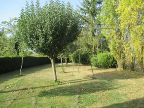Ländliches Ferienhaus mit geschlossenem Garten, Haustiere erlaubt - Image 2