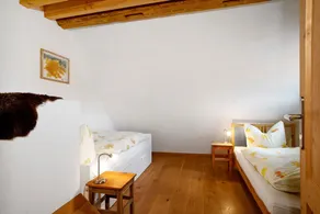 'Die Mittlere Ferienwohnung, 45qm' with Balcony - Image 5