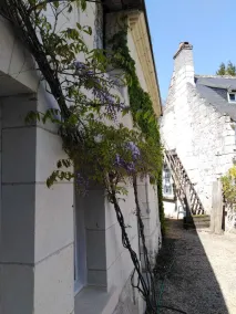 Le Moulin Bertrand - Image 5