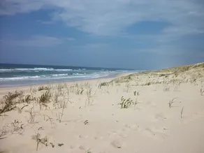 En suite med morgenmad i hjertet af Landes - Image 4