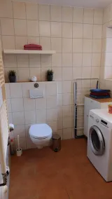 East Frisia for family and pets - Image 3