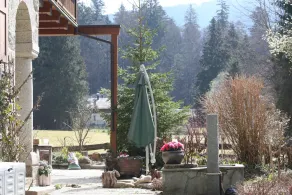 Das Alte Zollhaus Zwieslerwaldhaus Bickels Ferienwohnungen - Image 4