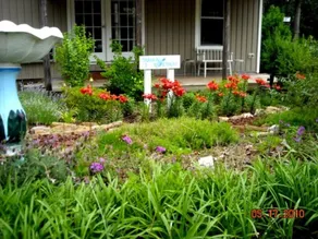 Tarheel Retreat - Image 4