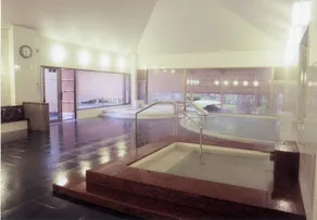 Westernstyle twin room with bathroom and toilet / Soja Okayama - Image 3