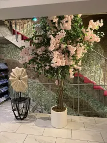 Hotel Kaiser - Image 2