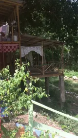 Rent our beautiful River paradise Jamaica - Image 4