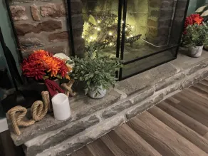 Peaceful Seasonal Wooded Cottage close to everything - Image 2