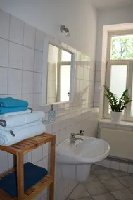 Apartment, close to the center and in a quiet location on the floodplain forest - Image 2