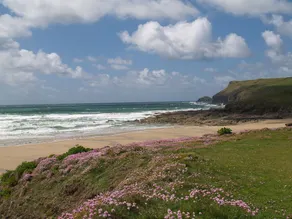Charmant cottage confortable nr Port Isaac, chemin de la côte, plages et bois Animaux acceptés - Image 4