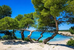 Waterfront terrace—sandy beach in Martigues, just a stone's throw from Marseille - Image 4