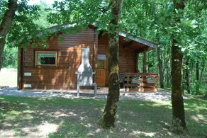 Charming chalet on a wooded estate - Image 5