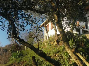 Cozy Cottage Retreat in Bajardo - Image 4