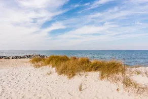 Sea Salt Cottage: Your Tranquil Getaway 3 min to beach - Image 4
