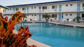 Best Location on Lido Keys! Steps to Lido Beach & St. Armand's Circle - Image 4
