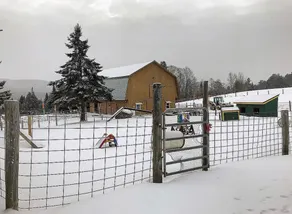 Unikt / underbart hem med en 30 tunnland stor gård i hjärtat av centrala Vermont - Image 3