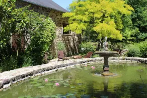 Le Clos Penguily  louez 2 maisons  avec SPA et Bain nordique - Image 4