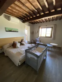 Poggio Puccino Countryhouse - Image 5