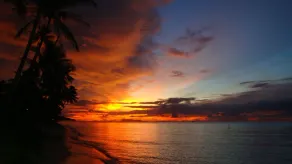 luxury in paradise - Image 4