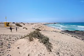 La Casa De Los Sueños - Image 3