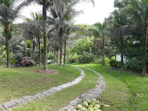 Season - rest - honeymoon - country house - events - total peace - farm - light - Image 4
