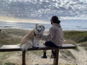 Tallulah – Pet friendly idyllic family beach house - Image 2