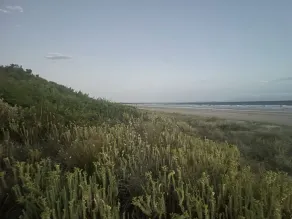Waterfront Beach House - Image 2