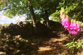 GITE DES JEUNES PIERRES CHARM AND NATURE - Image 5
