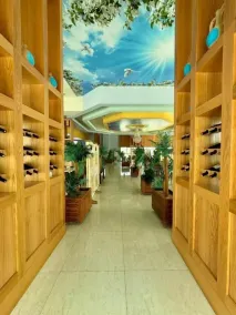 Hotel Panorama & Spa Elbasan - Image 2
