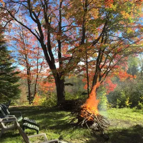 camping on private property, feet from river, peaceful setting, lots of nature - Image 3